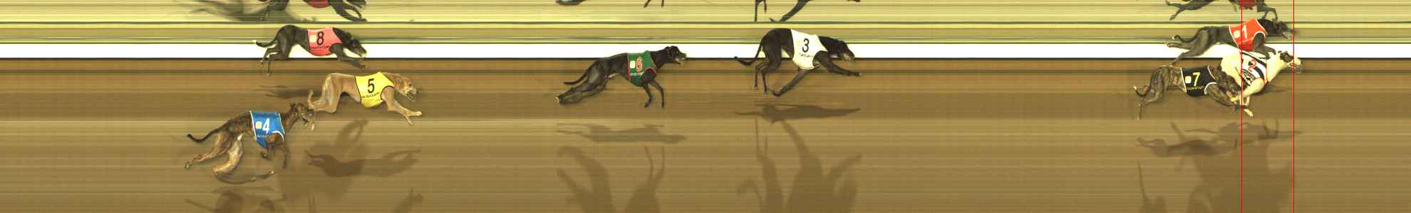 Race result finish photo